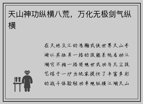 天山神功纵横八荒，万化无极剑气纵横
